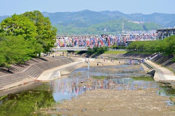 🌸 아쿠타가와 벚꽃 제방 공원 (아쿠타가와 사쿠라즈츠미 코엔) 이미지 1